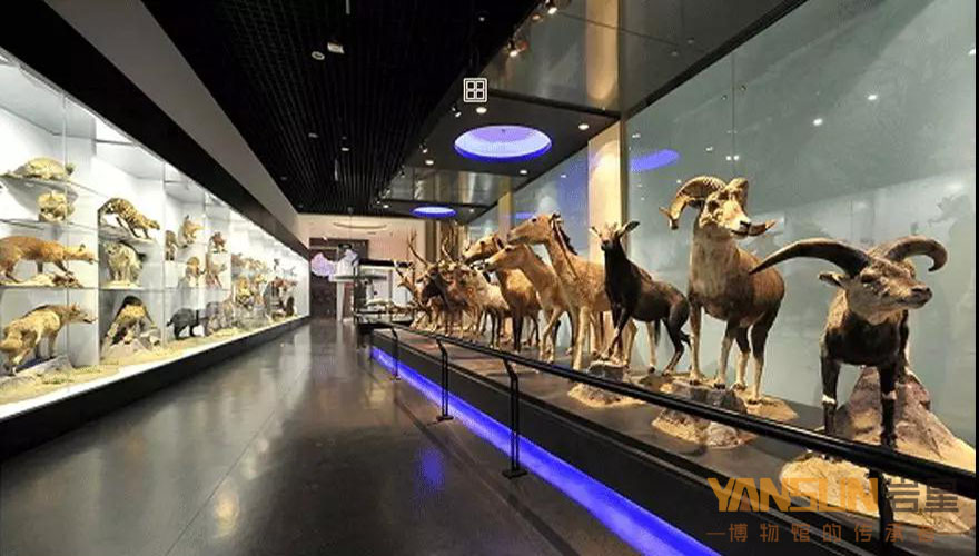 博物館展館設(shè)計方案:感受色彩對比的方法和變化的規(guī)律插圖(2) 博物館展館設(shè)計方案:感受色彩對比的方法和變化的規(guī)律插圖(2)